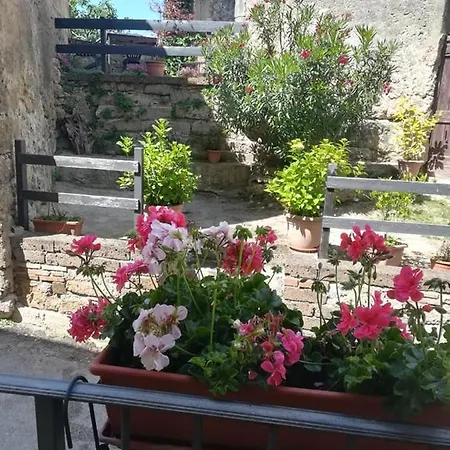 Monolocale Casa D'arte Дом отдыха