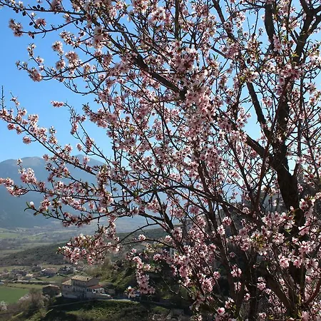 Monolocale Casa D'arte Tocco da Casauria